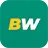 BetWinner logo